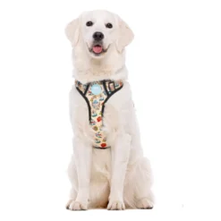 Dukier Tattoo Arnés Trail para perros
