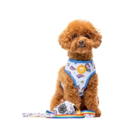 Dukier Unicorns Correa para perros