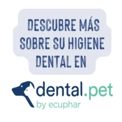 Ecuphar Plaqtiv+ Toallitas Dentales para perros y gatos