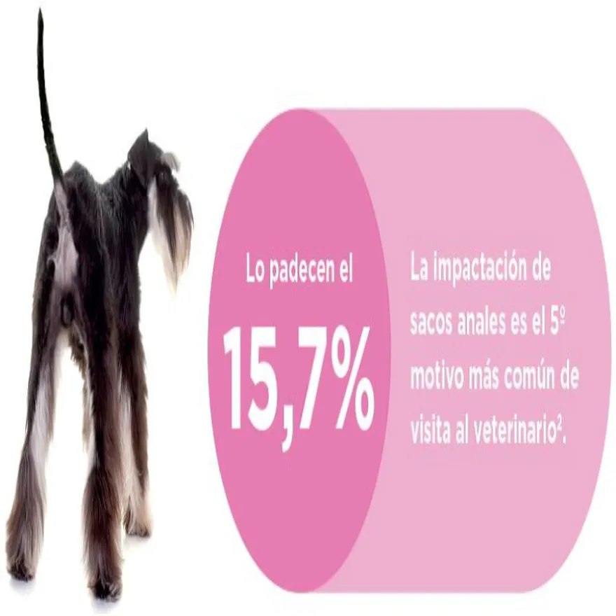 Ecuphar Proglan Suplemento para perros