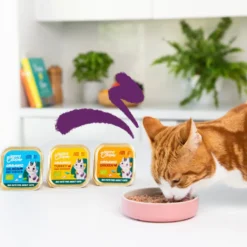 Edgard & Cooper Adult Pavo y Pollo Ecológico en Paté tarrina para gatos