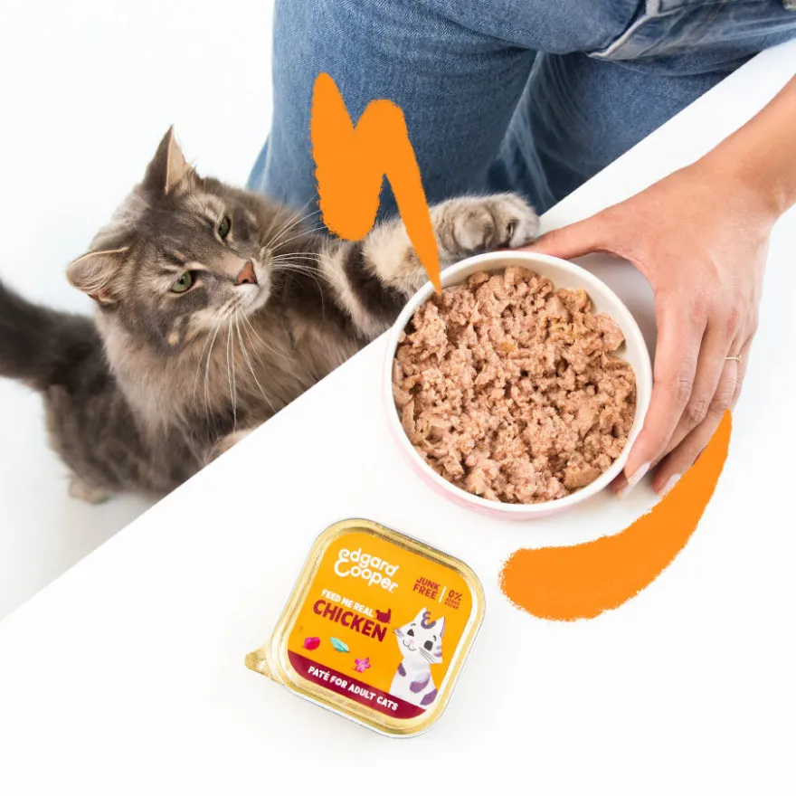 Edgard & Cooper Adult Pollo en Paté tarrina para gatos