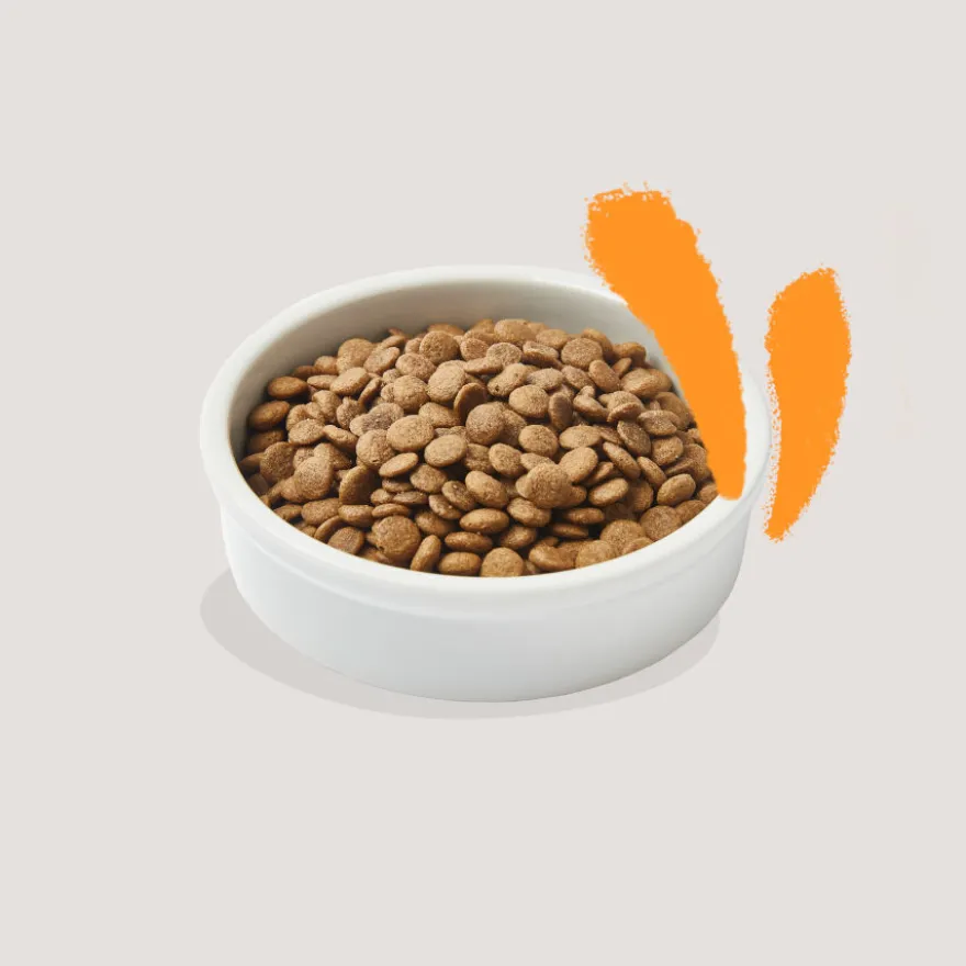 Edgard & Cooper Adult Pollo pienso para gatos