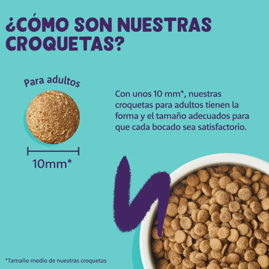 Edgard & Cooper Adult Pollo pienso para gatos