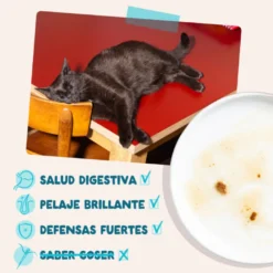 Edgard & Cooper Atún y Pollo sobre en salsa para gatos