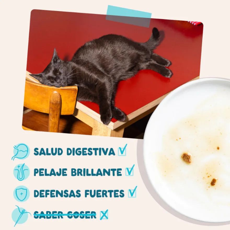 Edgard & Cooper Atún y Pollo sobre en salsa para gatos