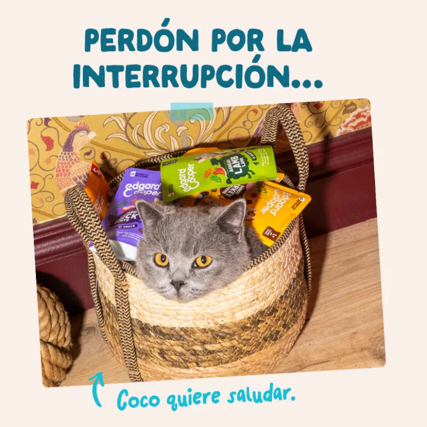 Edgard & Cooper Atún y Pollo sobre en salsa para gatos