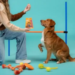 Edgard & Cooper Bocaditos Grandes de Salmón y Pollo snack para perros