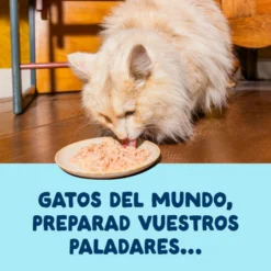 Edgard & Cooper Filetes de Atún y Calamar en Caldo lata para gatos