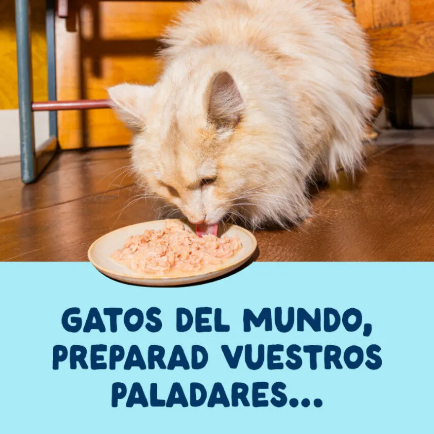Edgard & Cooper Filetes de Atún y Calamar en Caldo lata para gatos