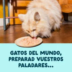 Edgard & Cooper Filetes de Atún y Gambas en Caldo lata para gatos