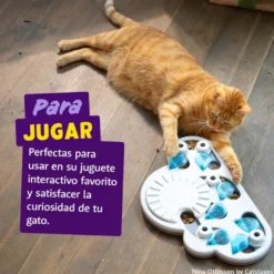 Edgard & Cooper Galletas Crunchies Salmon para gatos