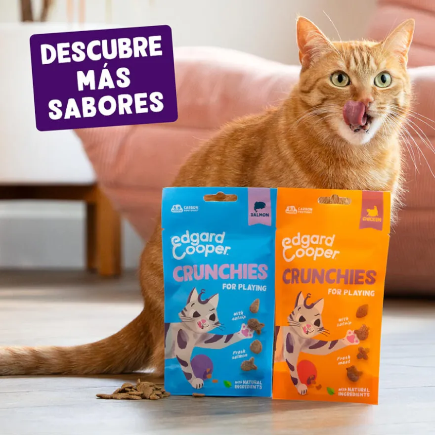 Edgard & Cooper Galletas Crunchies Salmon para gatos