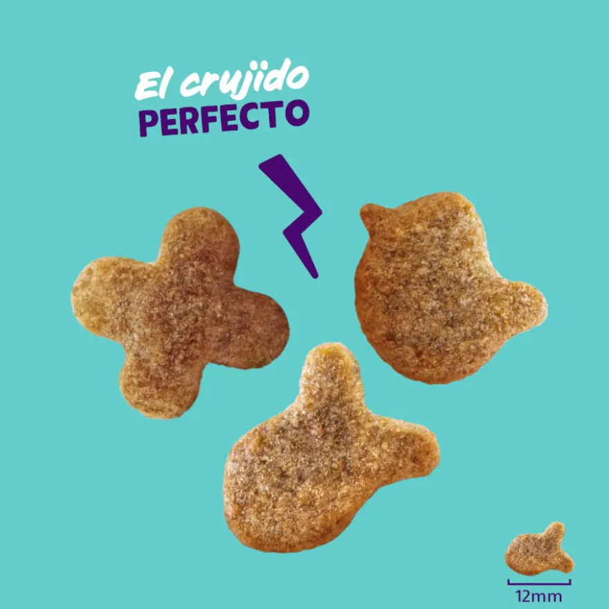 Edgard & Cooper Galletas Crunchies Pollo para gatos