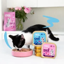 Edgard & Cooper Kitten Bacalao y Pollo en Paté tarrina para gatos
