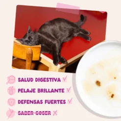 Edgard & Cooper Kitten Pato y Pollo sobre en salsa para gatos