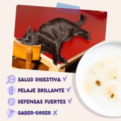 Edgard & Cooper Pato & Pavo sobre en salsa para gatos