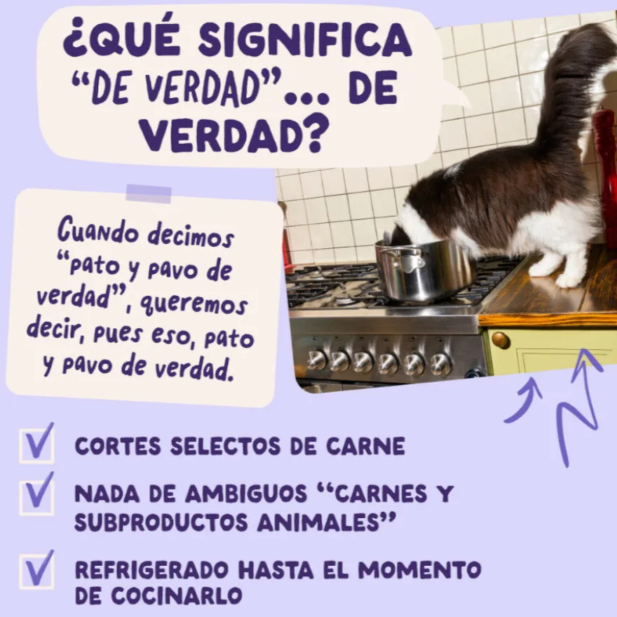 Edgard & Cooper Pato & Pavo sobre en salsa para gatos