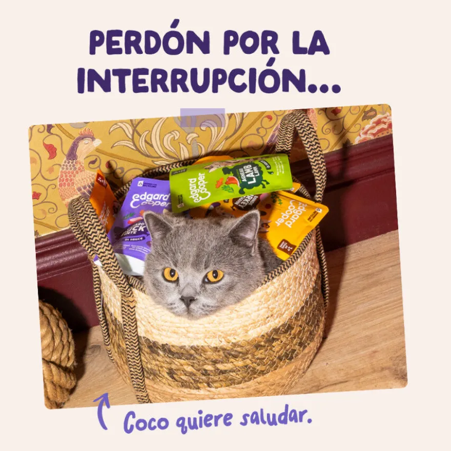 Edgard & Cooper Pato & Pavo sobre en salsa para gatos