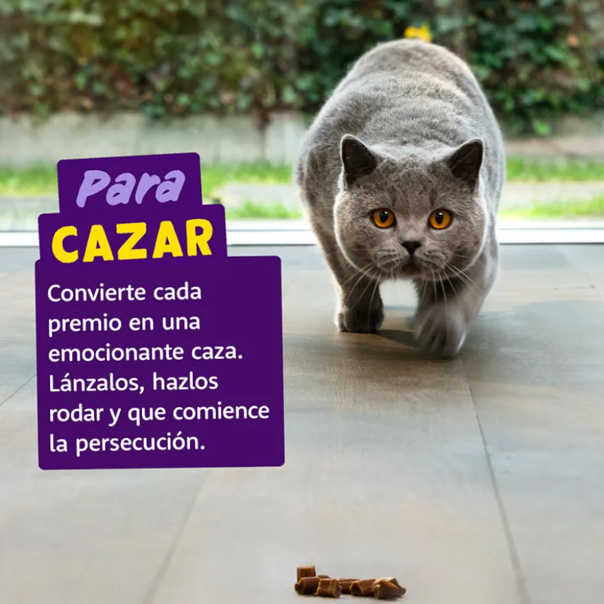 Edgard & Cooper Rollitos Salmón y Pollo para gatos