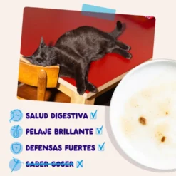 Edgard & Cooper Selección Captura del Día sobre en salsa para gatos