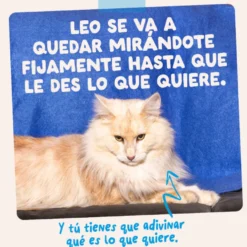Edgard & Cooper Selección Captura del Día sobre en salsa para gatos
