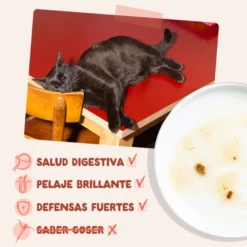 Edgard & Cooper Trucha y Pollo sobre en salsa para gatos