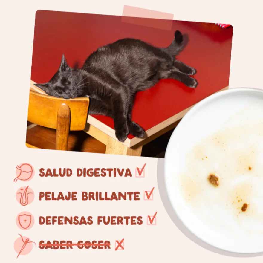 Edgard & Cooper Trucha y Pollo sobre en salsa para gatos