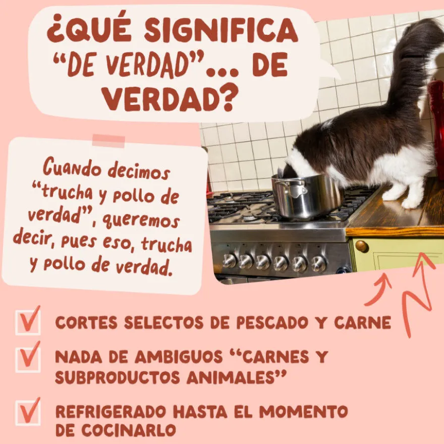Edgard & Cooper Trucha y Pollo sobre en salsa para gatos