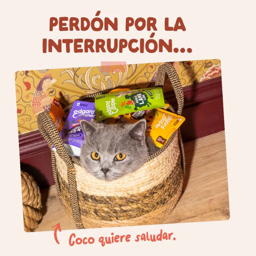 Edgard & Cooper Trucha y Pollo sobre en salsa para gatos