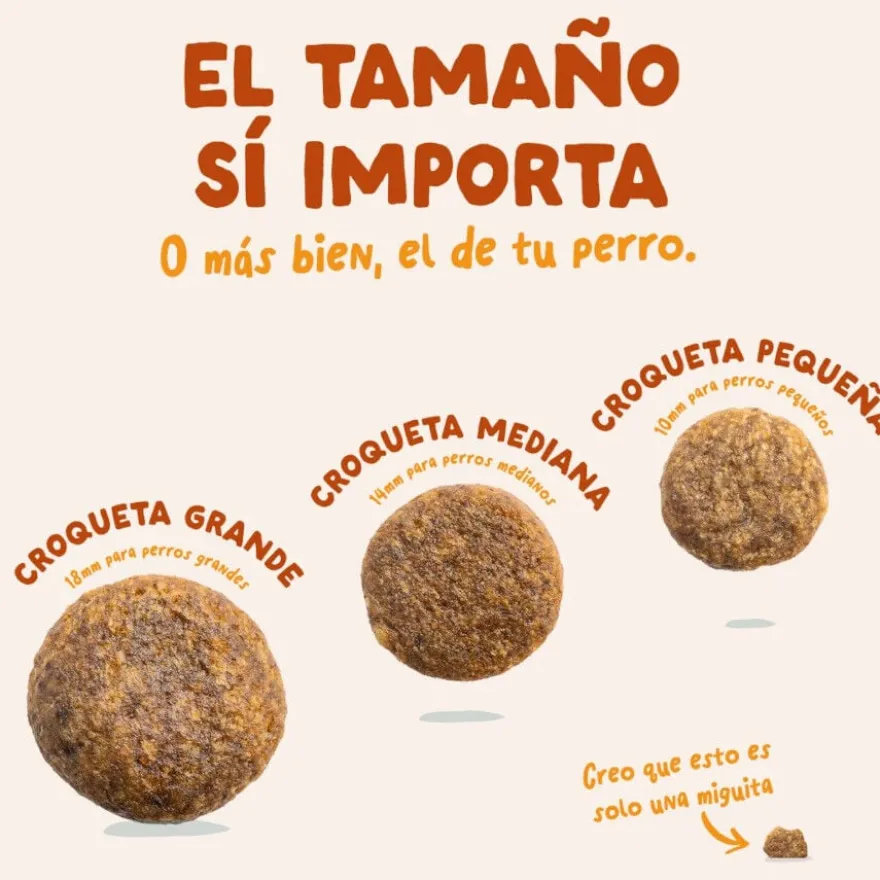 Edgard & Cooper Zanahoria y Calabacín pienso para perros