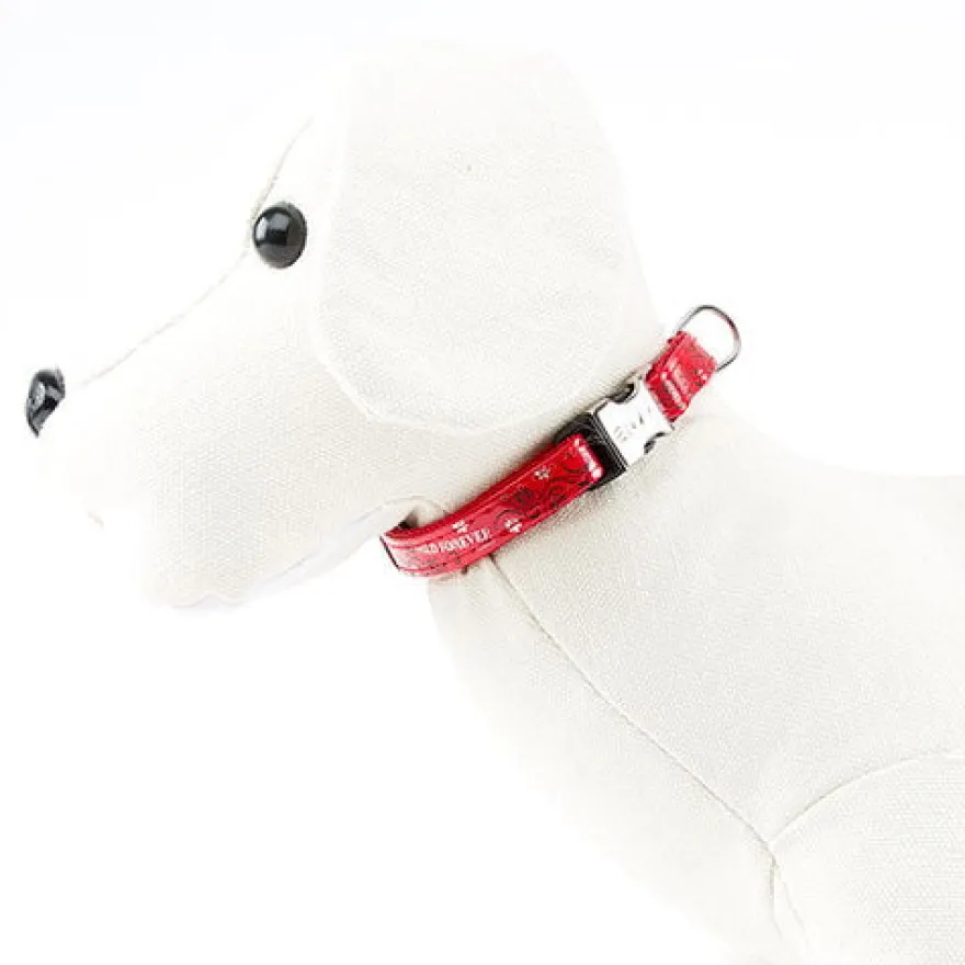Envy Wild Forever Collar Rojo para perros