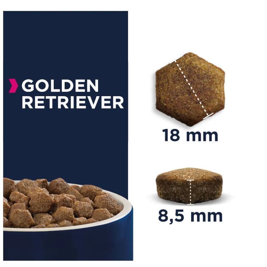 Eukanuba Adult Golden Retrievers pienso para perros