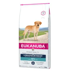 Eukanuba Adult Labrador Retriever pienso para perros