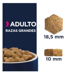 Eukanuba Adult Large Pollo pienso para perros