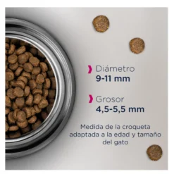 Eukanuba Adult Pollo pienso para gatos