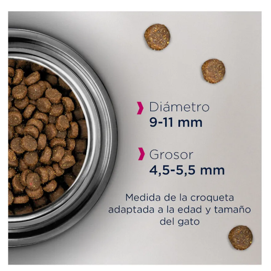 Eukanuba Adult Pollo pienso para gatos