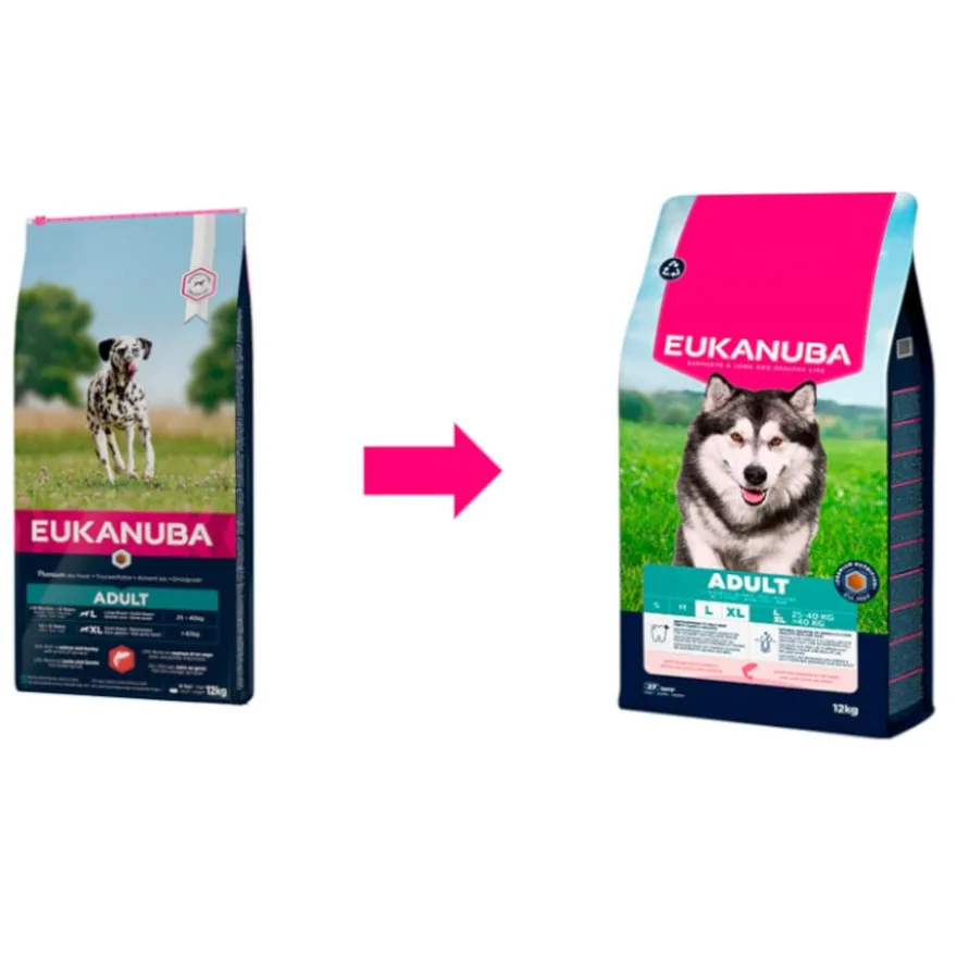 Eukanuba Adult Salmón pienso para perros