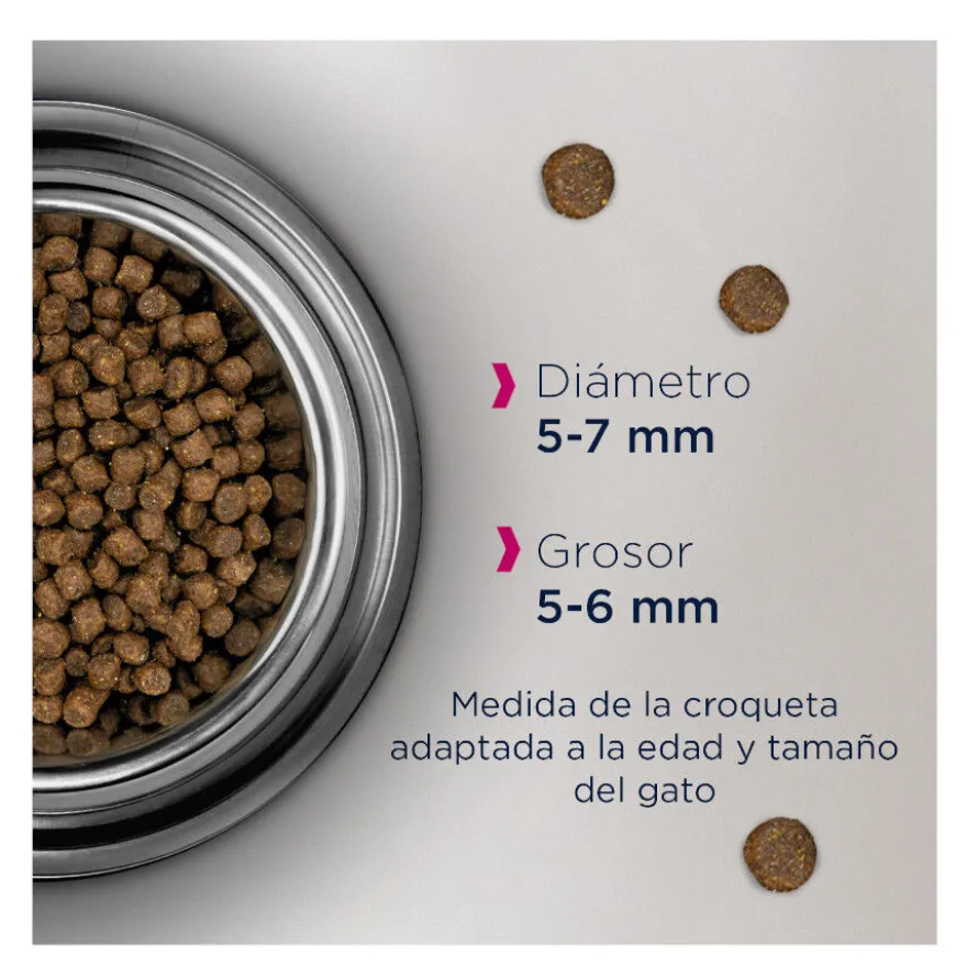 Eukanuba Kitten Pollo pienso para gatos