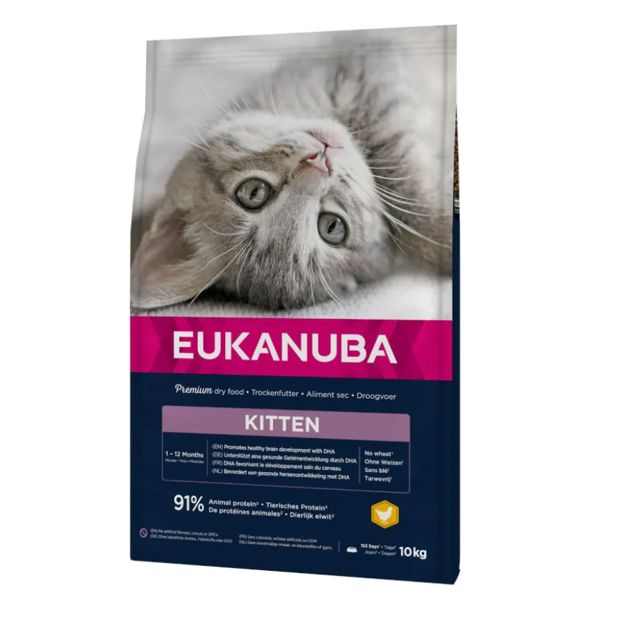 Eukanuba Kitten Pollo pienso para gatos