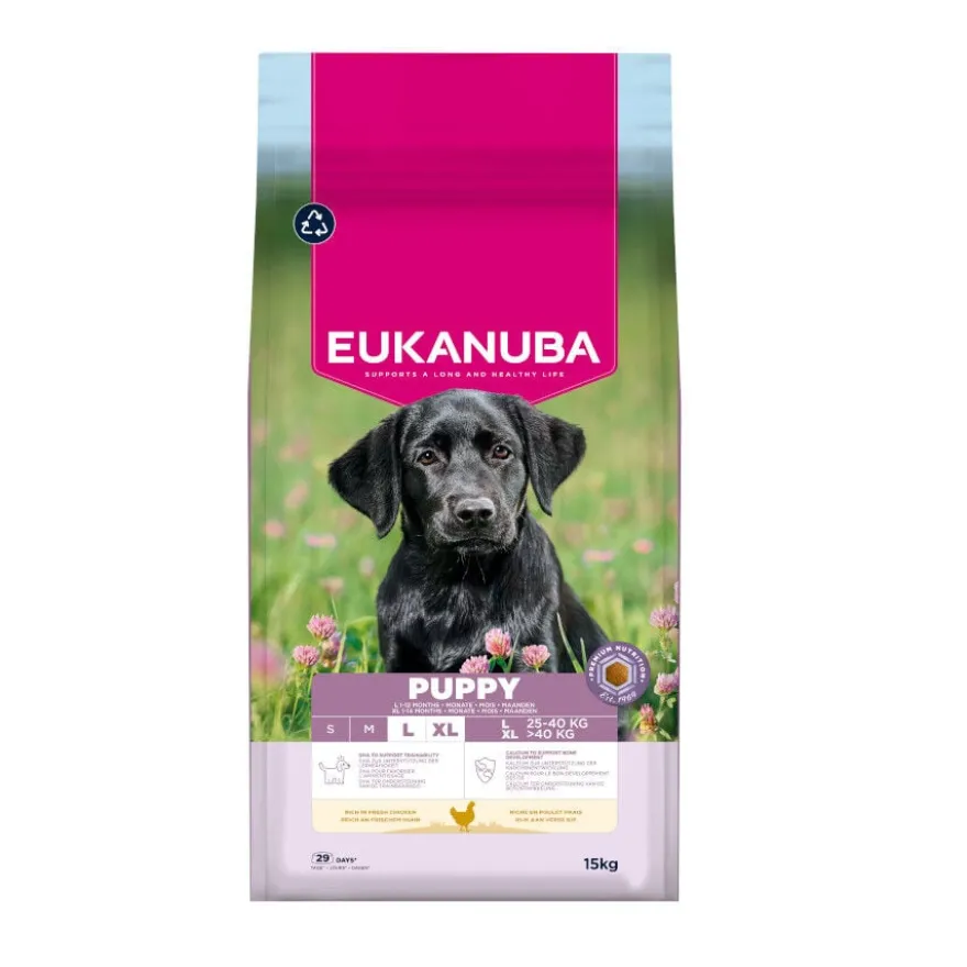 Eukanuba Puppy Large Pollo pienso para perros