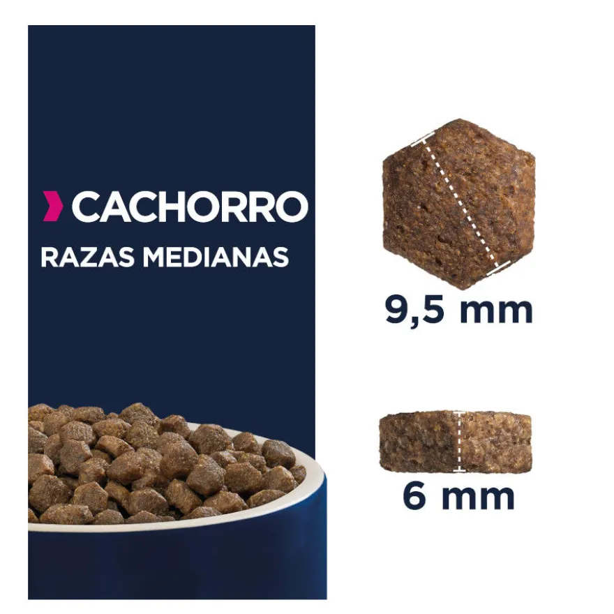 Eukanuba Puppy Medium Pollo pienso para perros