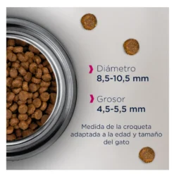 Eukanuba Senior Pollo pienso para gatos