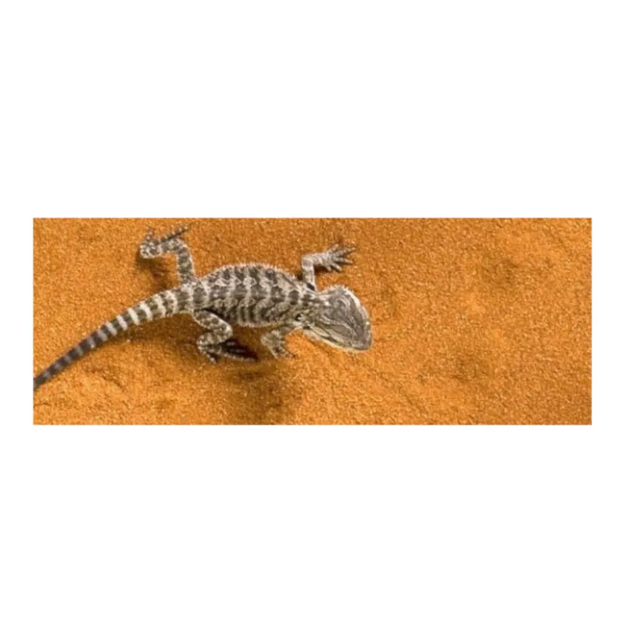 Exo Terra Arena del Desierto Roja sustrato para terrarios