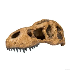 Exo Terra Cráneo de T-Rex Cueva para terrarios