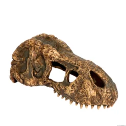 Exo Terra Cráneo de T-Rex Pequeño Decoración para terrarios
