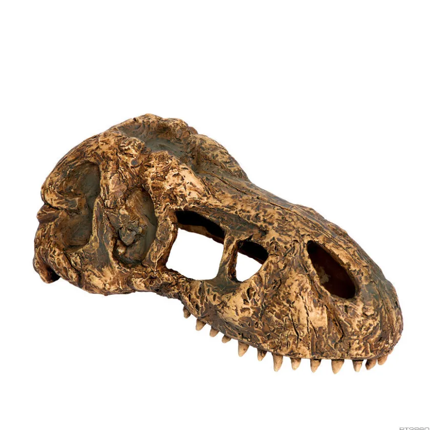 Exo Terra Cráneo de T-Rex Pequeño Decoración para terrarios