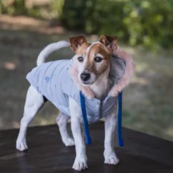 Freedog Abrigo Impermeable Iceguard Gris para perros