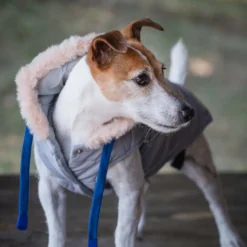 Freedog Abrigo Impermeable Iceguard Gris para perros