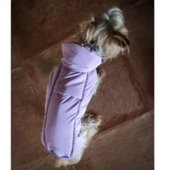 Freedog Abrigo Impermeable Winterhug Morado para perrros